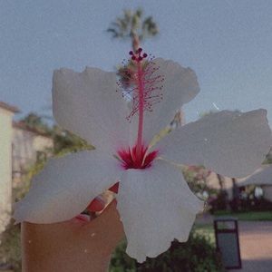 Meet your Posher, Ana